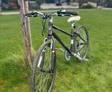 Pendleton Brooke Bike
