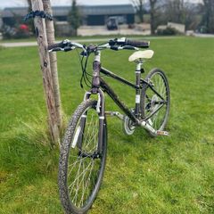 Pendleton Brooke Bike