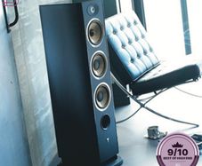 Focal aria 948