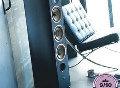 Focal aria 948