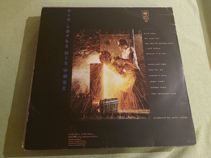 James Taylor - Dada Loves His Work - Vinyl Record + Hundreds More