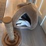 Free Cat Bed & Scratching Post Image 2