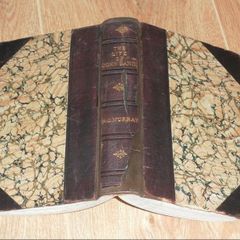 The life of John Banim, the Irish Novelist, with Extracts from His Correspondence, General and Literary . Also Selections from His Poems. & The Celt's Paradise. By Murray, Patrick Joseph