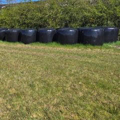 Silage Bales - 20 left