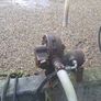 1600 gallon mollases/water tank Image 5