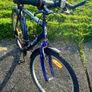 Classic Mountain Bicycle Image 3