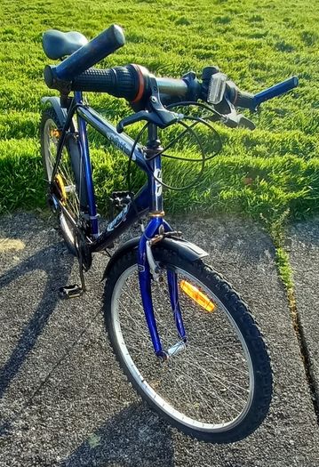 Classic Mountain Bicycle