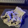 aquarium rocks Image 4