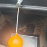 Platinum 80/60 Attic Cold Water Storage Tank with Lid Image 10