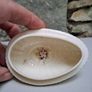 Donegal egg shaped trinket box Image 7