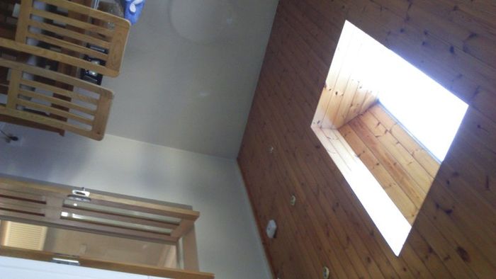 Painter decorator (s.c.s.painters)