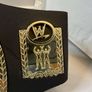 wwe WWF Jakks specific World Tag Team title Kids Foam Belt Image 4