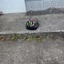 kids Helmet Image 3