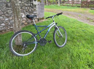 boys bike