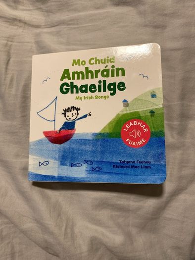 Irish language children's book