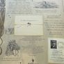 Dragonology The Complete Book of Dragons Image 7