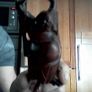 Antique Rosewood Buddha Sculpture Image 2