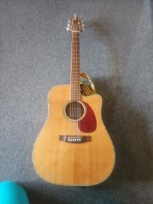 Takamine EG340DLX