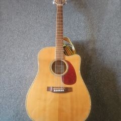 Takamine EG340DLX