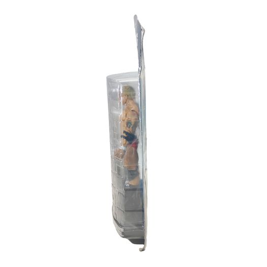 WWE Classic Superstars Series Action Figures