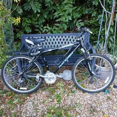 Raleigh ladies hybrid/leisure mountain bike for sale.