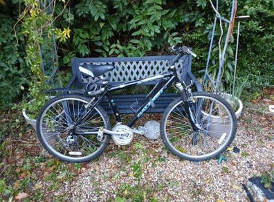 Raleigh ladies hybrid/leisure mountain bike for sale.