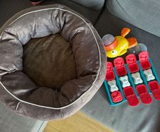 Dog bed and feeder
