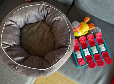 Dog bed and feeder