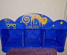 Cool Cat storage shelf