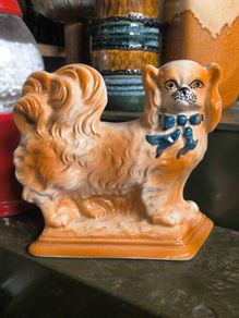 Staffordshire Pekingese mantle dog