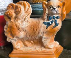 Staffordshire Pekingese mantle dog