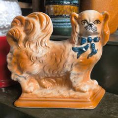 Staffordshire Pekingese mantle dog