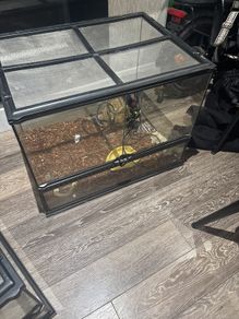 40 Gallon Exo Terra Enclosure