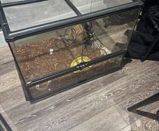 40 Gallon Exo Terra Enclosure