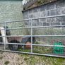 Fence panels Image 4