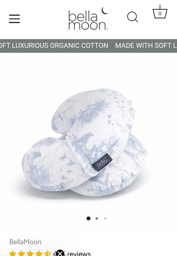 Pregnancy and nursing pillow