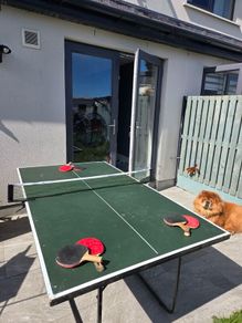 Ping Pong Table