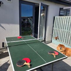 Ping Pong Table