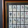 Framed Vintage Golf Cigarette Cards  Complete Collection 50 Cards Image 5
