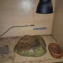 lizard/tortoise tank Image 3