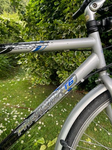 Trekking bike