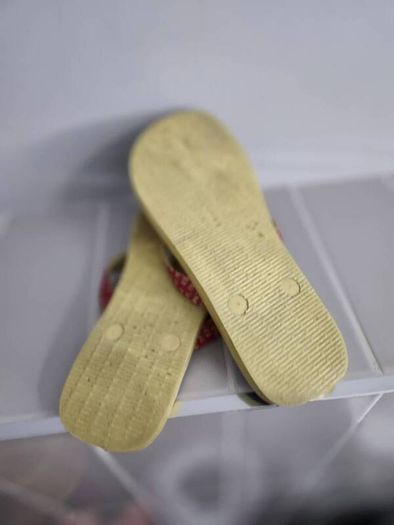 Havanas flip flop