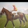 1937 Ingre RARE Ledgendary War Horse Jockey Signed Image 3