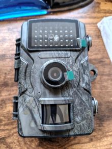 Wildlife Camera