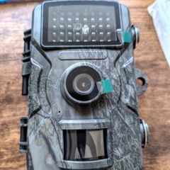 Wildlife Camera