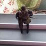 Lord of the rings The Two towers Helms Deep Legolas 7 inch action Figure Image 2