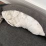 Dog/Cat Bed Image 2