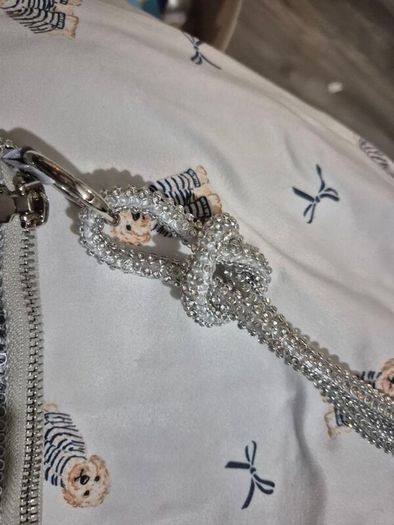 Bag bnwt
