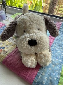 jellycat
