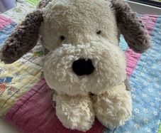 jellycat